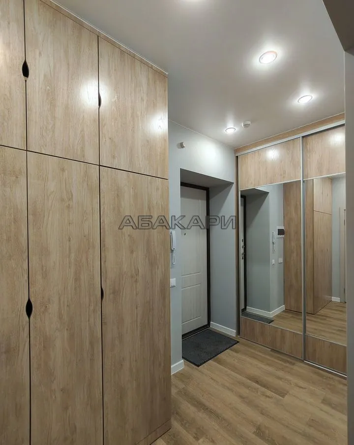 1-комнатная Южная набережная, 6  за 45000 руб/мес фото 5