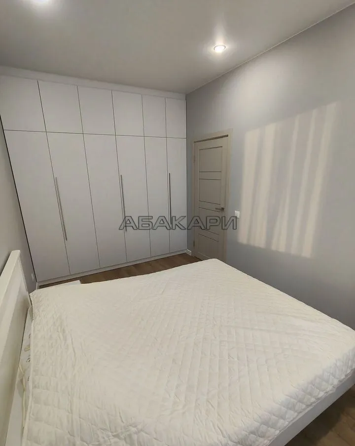 1-комнатная Южная набережная, 6  за 45000 руб/мес фото 4