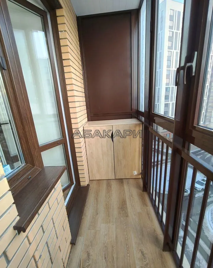 1-комнатная Южная набережная, 6  за 45000 руб/мес фото 6