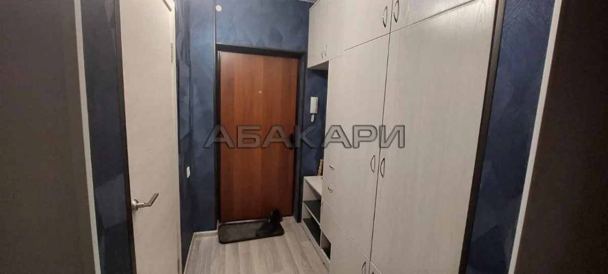 студия Соколовская улица, 72 за 26000 руб/мес фото 5 студия Соколовская улица, 72 за 26000 руб/мес фото 5