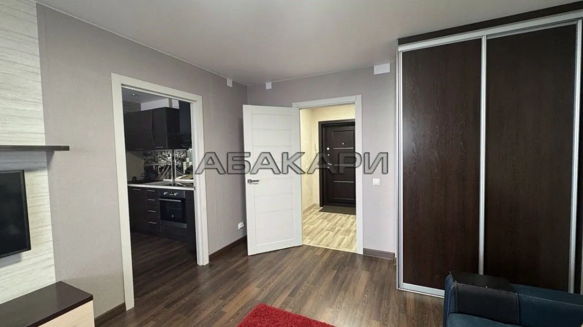 1-комнатная улица Любы Шевцовой, 80  за 35000 руб/мес фото 3