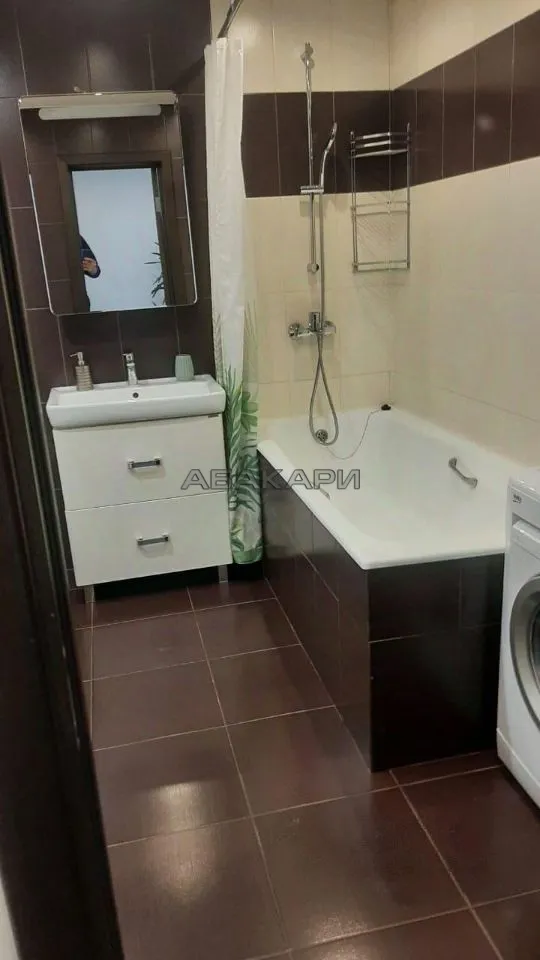 1-комнатная Светлогорская улица, 11А  за 40000 руб/мес фото 7