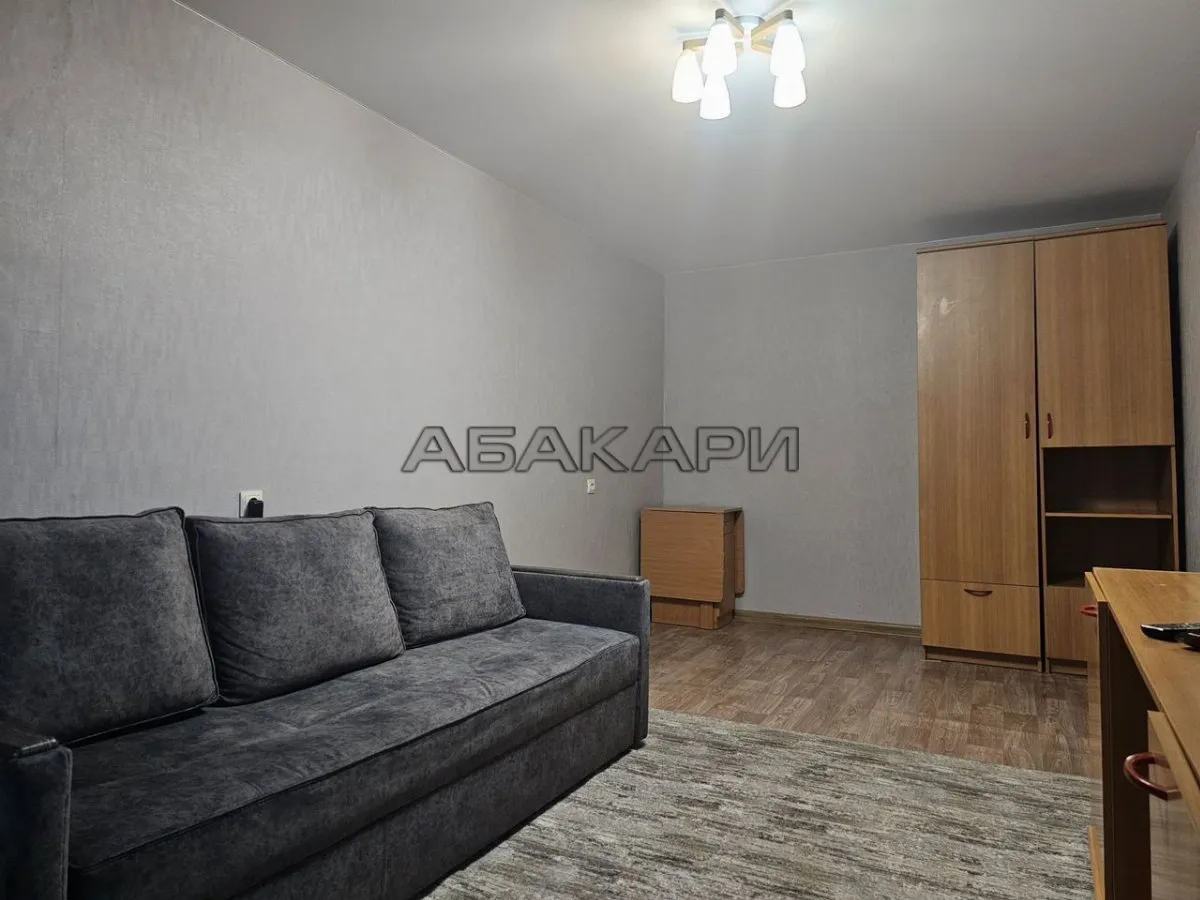 1-комнатная улица Академика Павлова, 53  за 30000 руб/мес фото 5