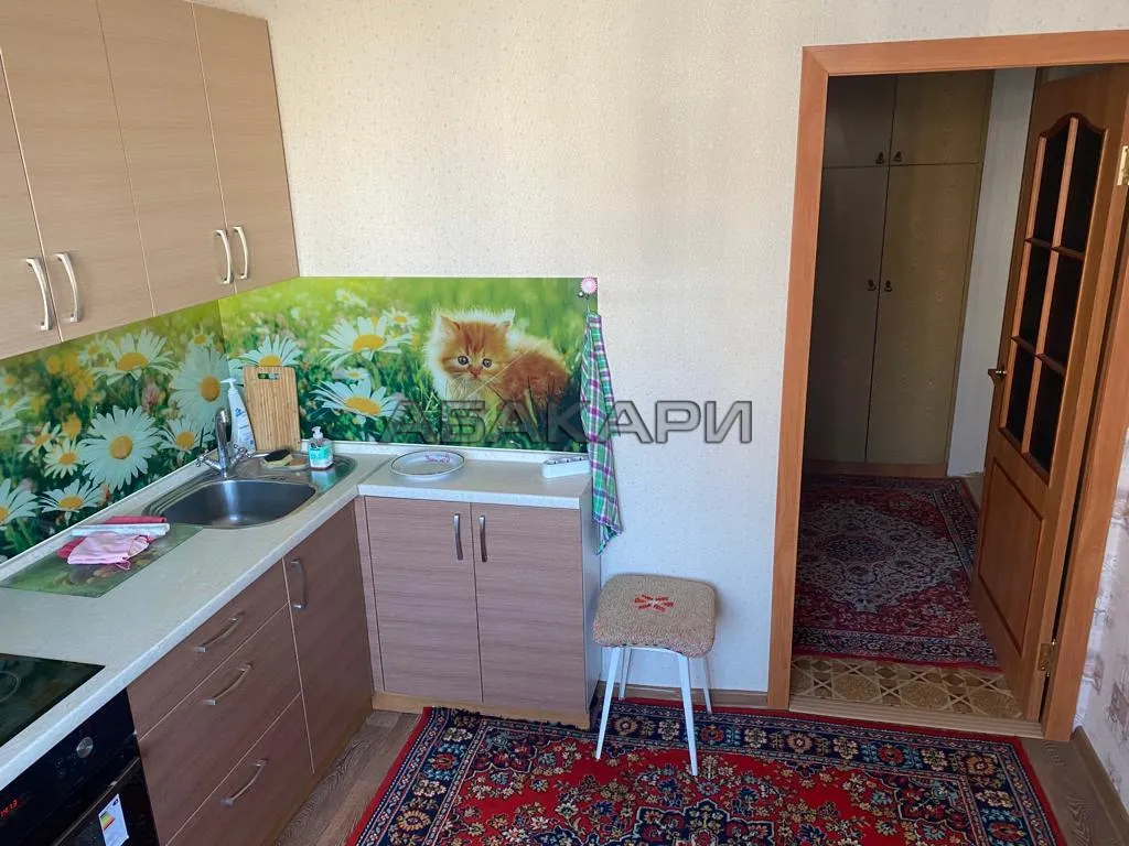 1-комнатная Свердловская улица, 115  за 24000 руб/мес фото 3