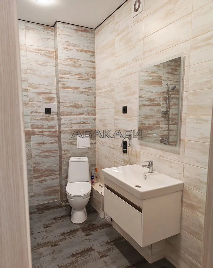 2-комнатная Южная набережная, 12  за 45000 руб/мес фото 7