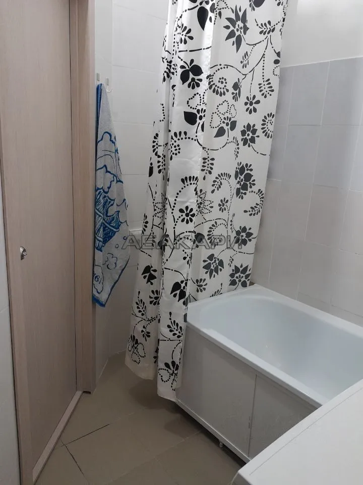 студия Караульная улица, 39А  за 25000 руб/мес фото 6