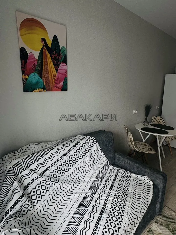 студия Свободный проспект, 66Рк4  за 37000 руб/мес фото 1