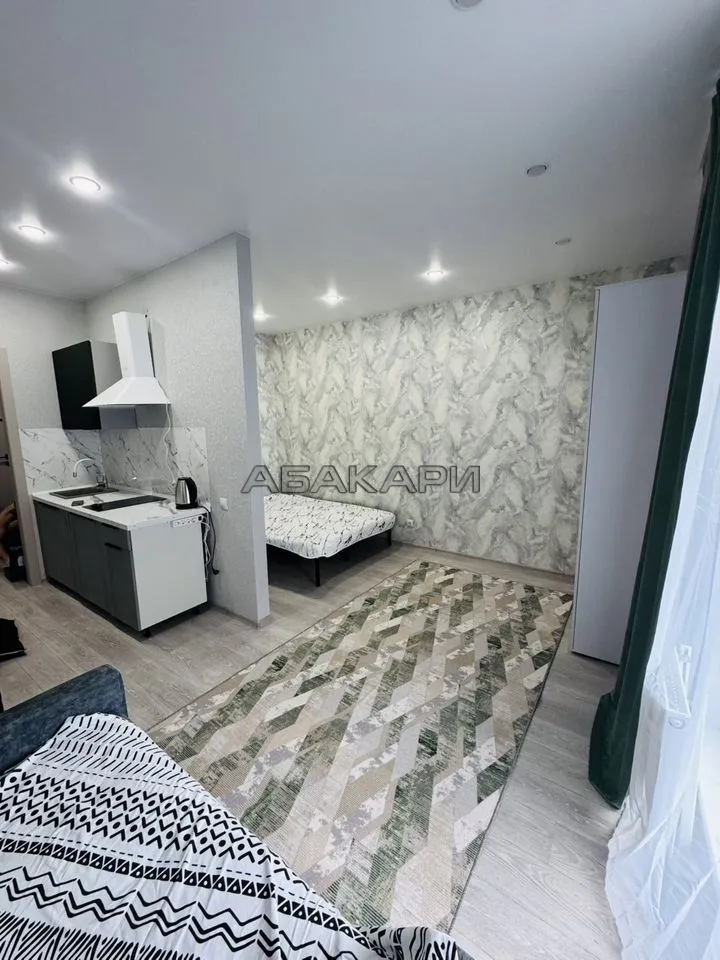 студия Свободный проспект, 66Рк4  за 37000 руб/мес фото 2