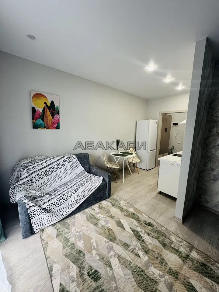 студия Свободный проспект, 66Рк4  за 37000 руб/мес фото 3