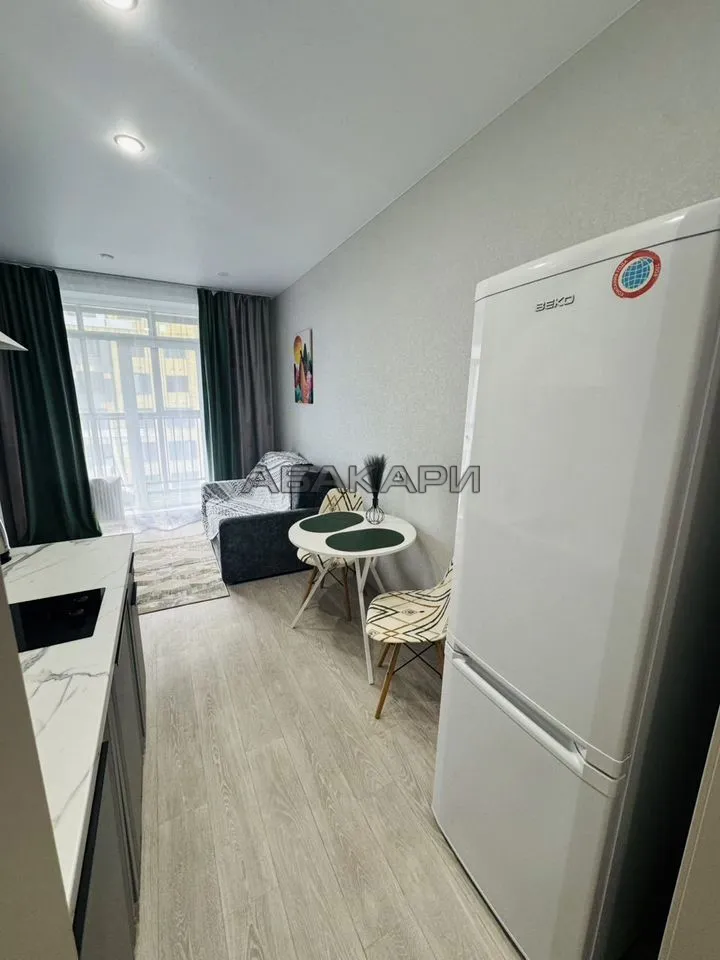 студия Свободный проспект, 66Рк4  за 37000 руб/мес фото 5