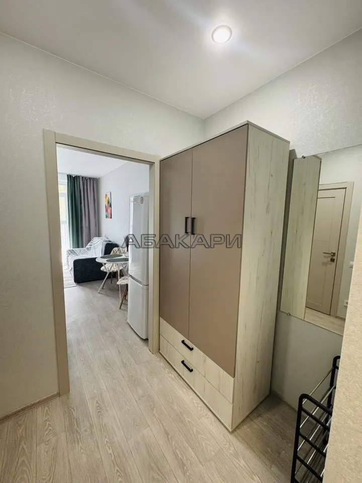 студия Свободный проспект, 66Рк4  за 37000 руб/мес фото 6