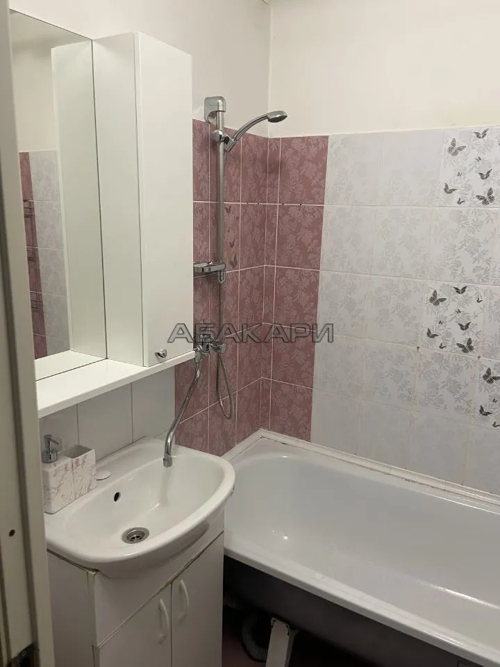 1-комнатная улица Дмитрия Мартынова, 24  за 35000 руб/мес фото 9