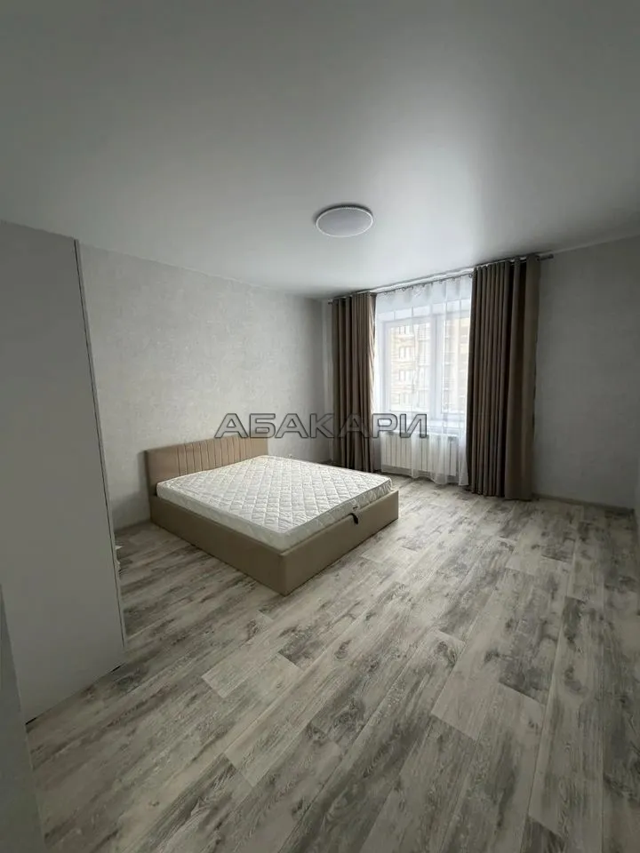 1-комнатная Южная набережная, 6  за 45000 руб/мес фото 5