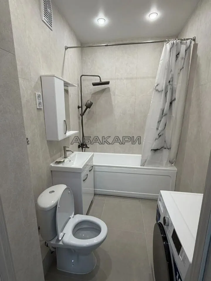 1-комнатная Южная набережная, 6  за 45000 руб/мес фото 11