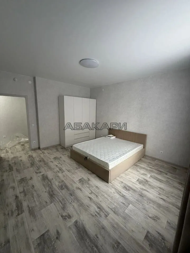 1-комнатная Южная набережная, 6  за 45000 руб/мес фото 6