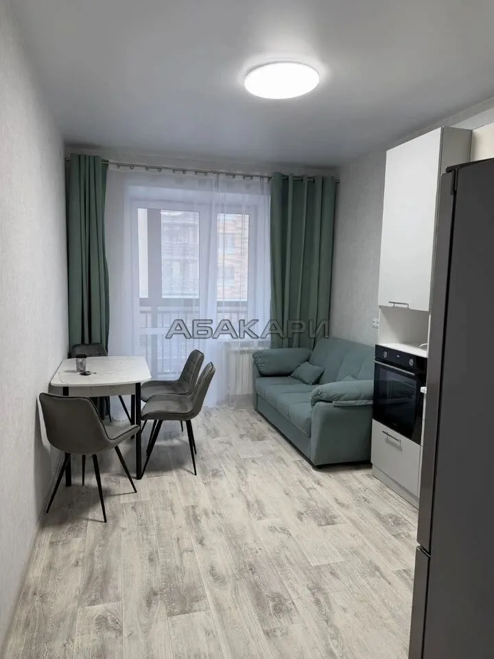 1-комнатная Южная набережная, 6  за 45000 руб/мес фото 3