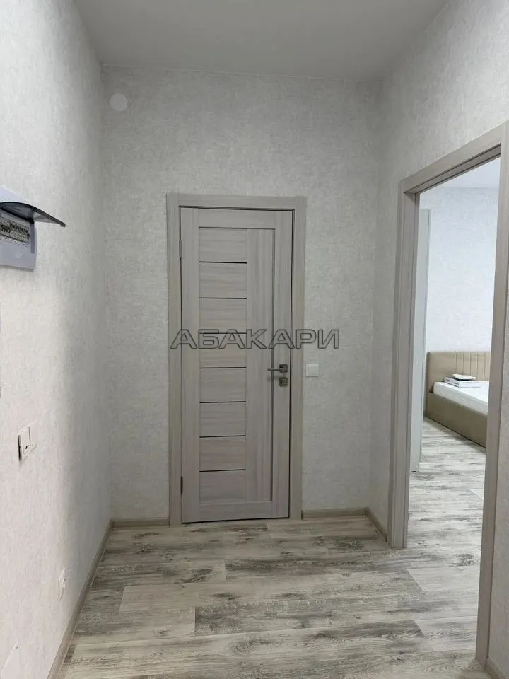 1-комнатная Южная набережная, 6  за 45000 руб/мес фото 8