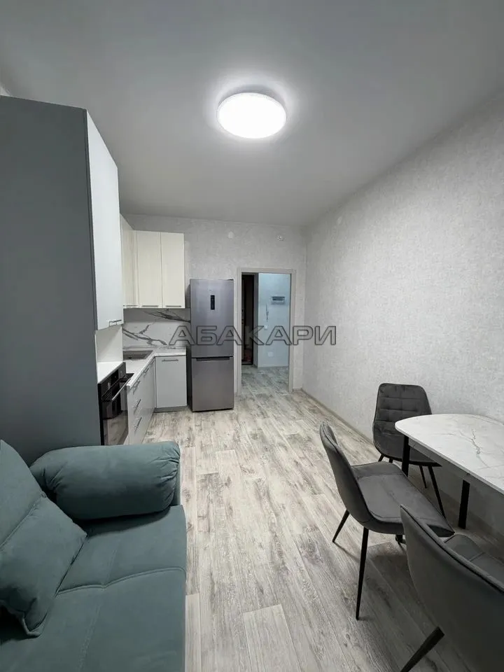 1-комнатная Южная набережная, 6  за 45000 руб/мес фото 4