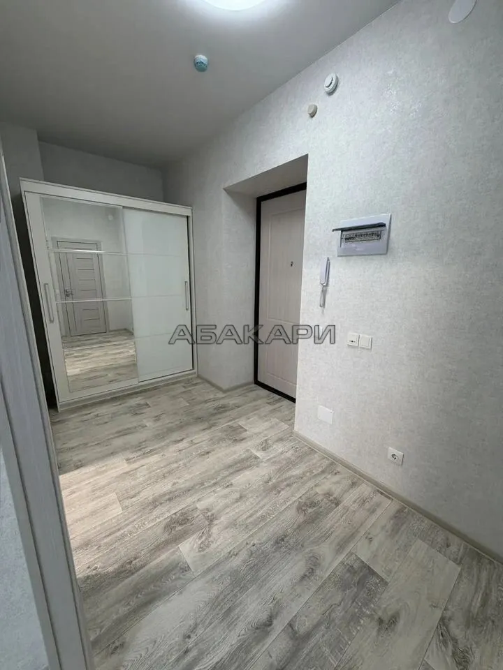 1-комнатная Южная набережная, 6  за 45000 руб/мес фото 10