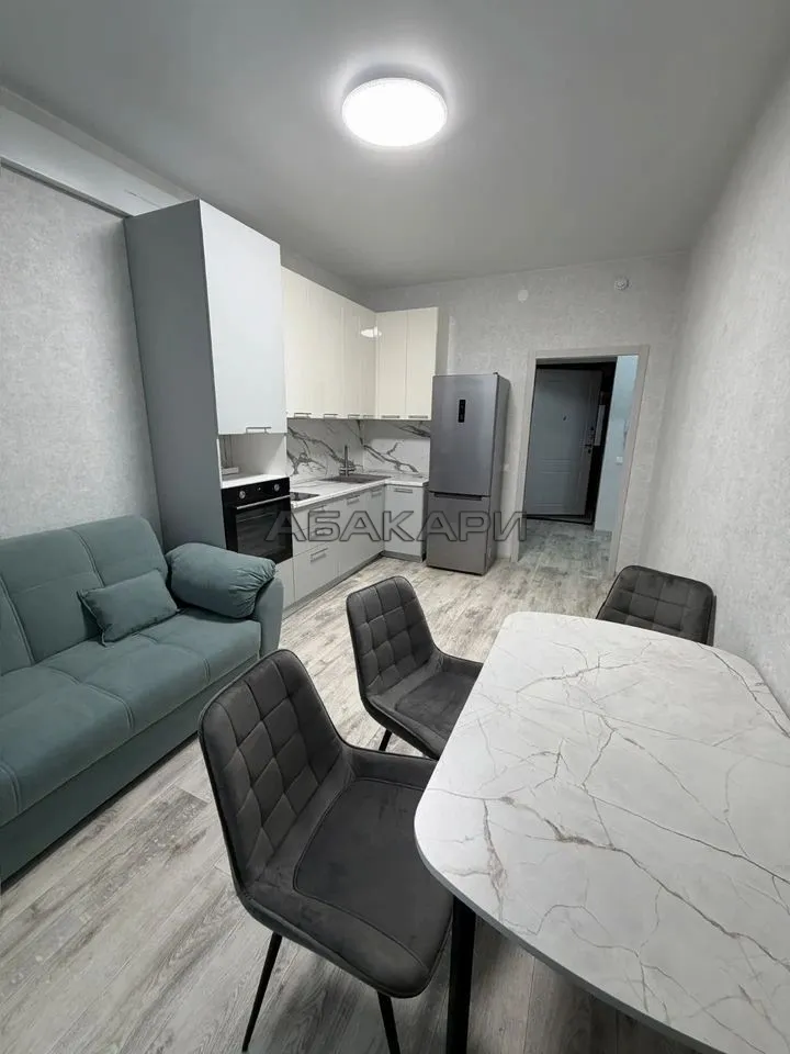 1-комнатная Южная набережная, 6  за 45000 руб/мес фото 2