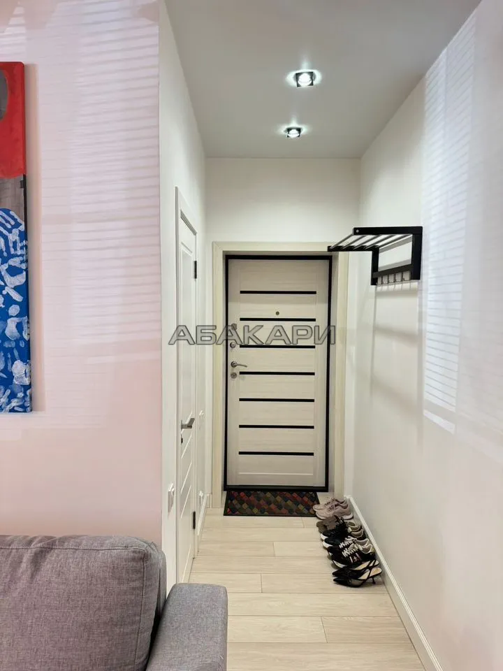 1-комнатная улица Бограда, 87  за 50000 руб/мес фото 8