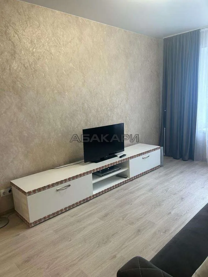 1-комнатная Регатная улица, 1  за 42000 руб/мес фото 4