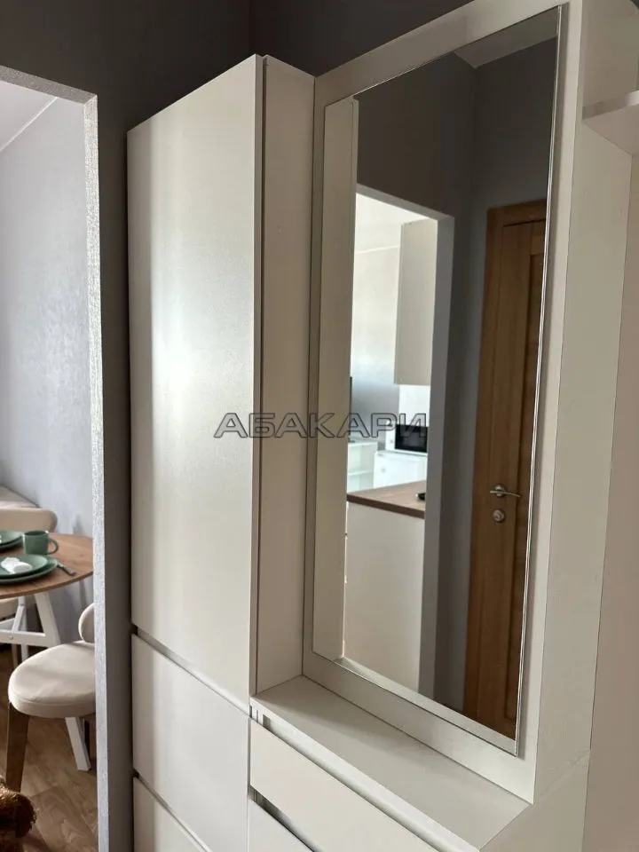студия Апрельская улица, 9А  за 30000 руб/мес фото 5