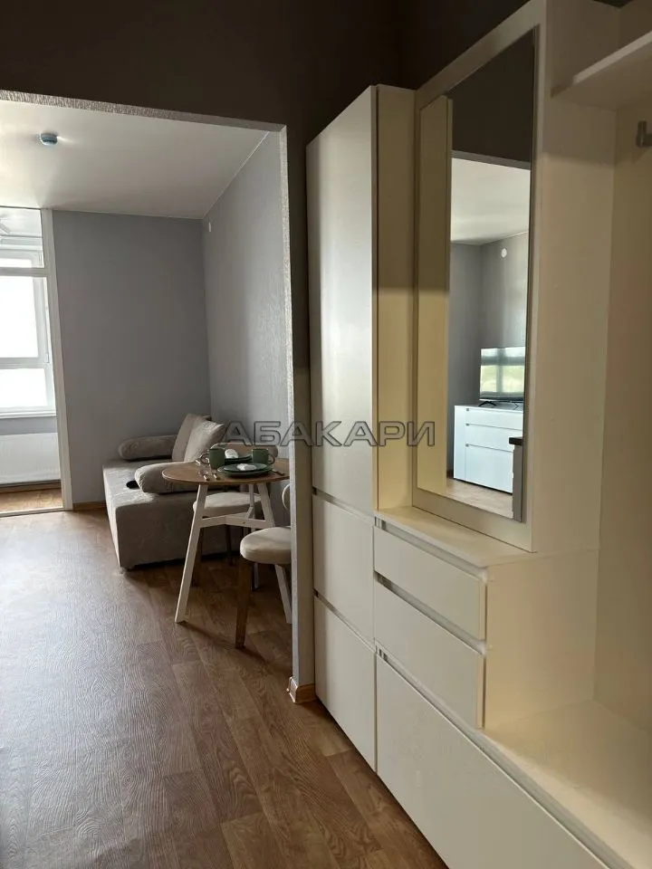 студия Апрельская улица, 9А  за 30000 руб/мес фото 7