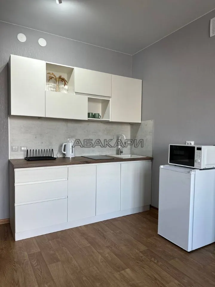 студия Апрельская улица, 9А  за 30000 руб/мес фото 2