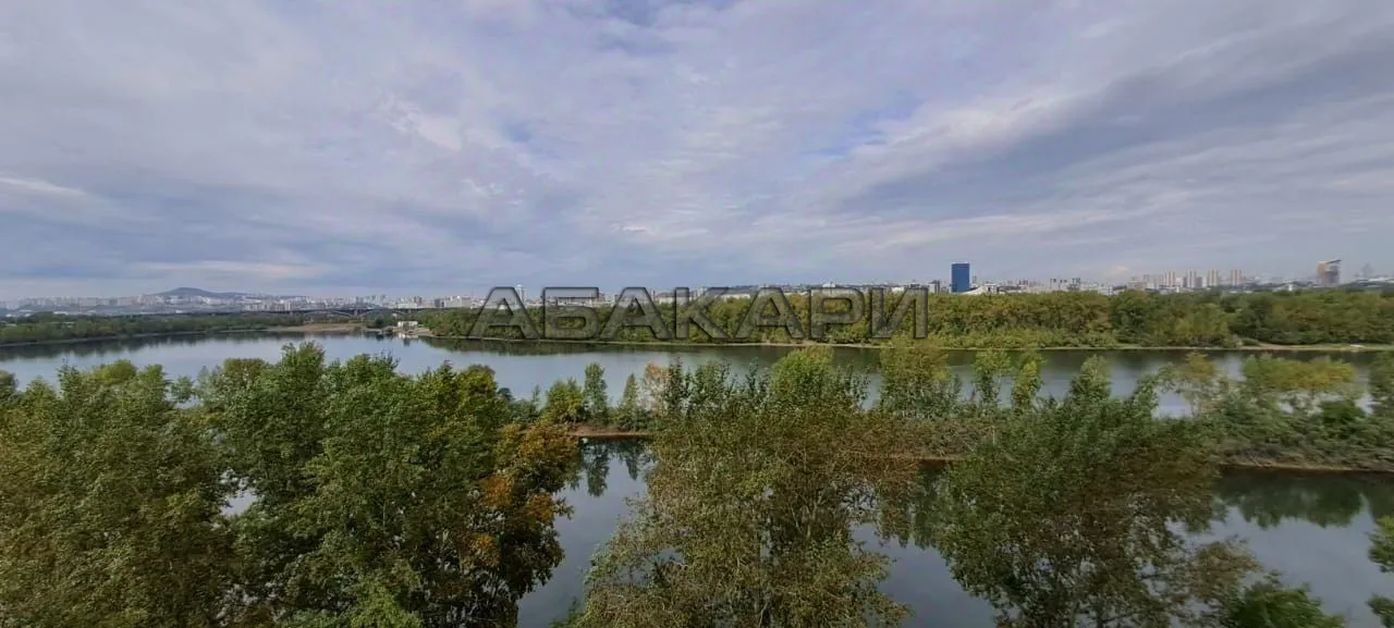 1-комнатная Парусная улица, 3  за 45000 руб/мес фото 12