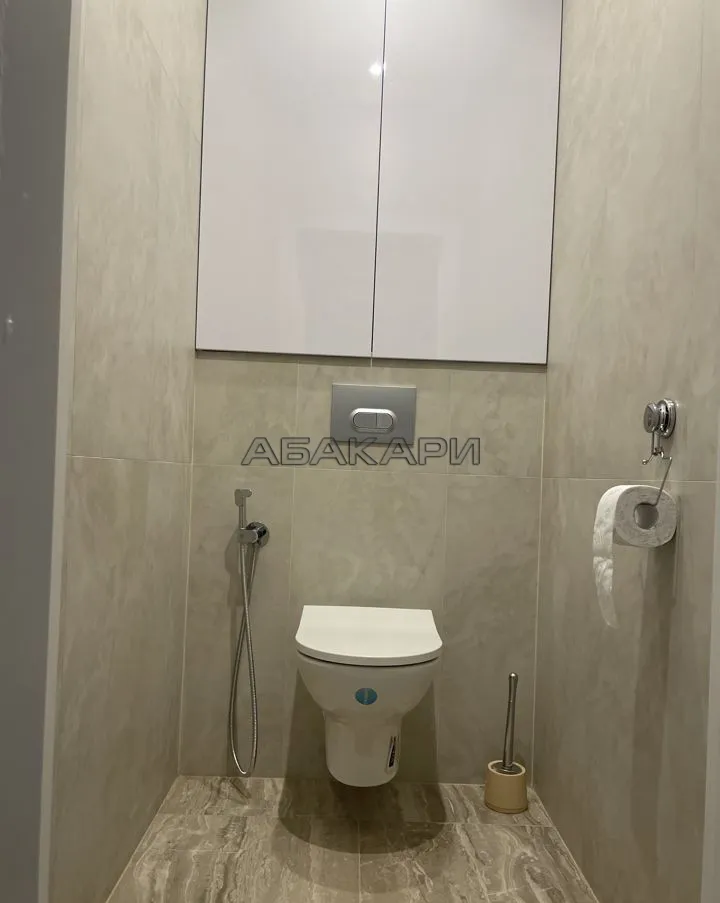 2-комнатная Южная набережная, 10  за 60000 руб/мес фото 7