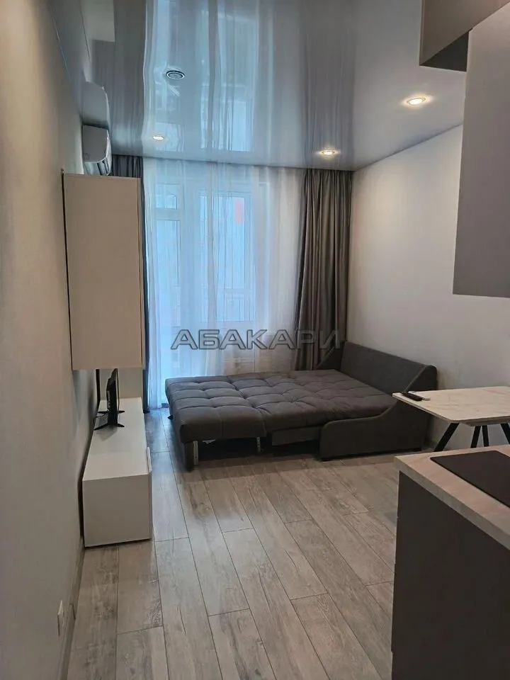 студия улица Борисова, 30  за 30000 руб/мес фото 5