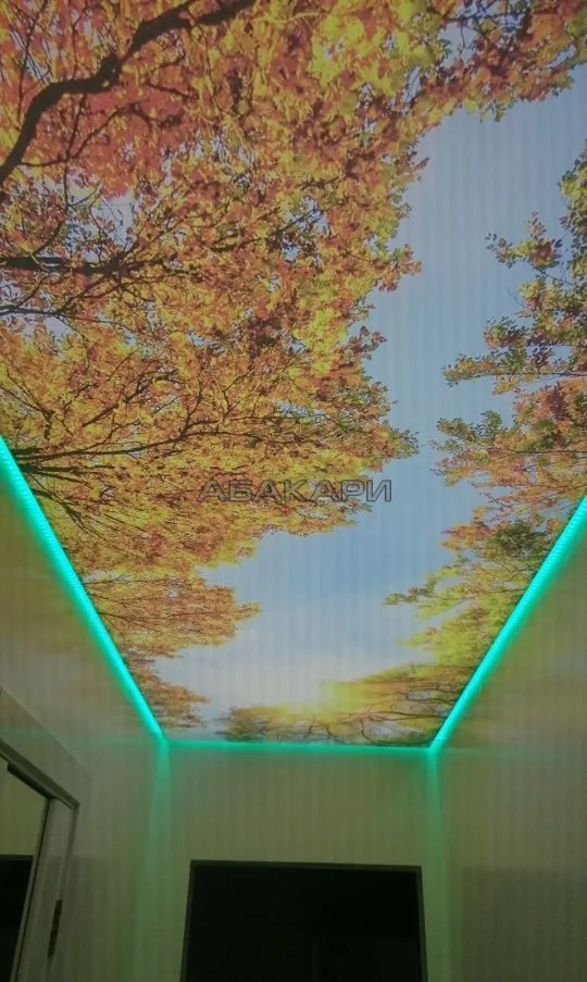 3-комнатная улица Молокова, 7 за 86000 руб/мес фото 15 3-комнатная улица Молокова, 7 за 86000 руб/мес фото 15