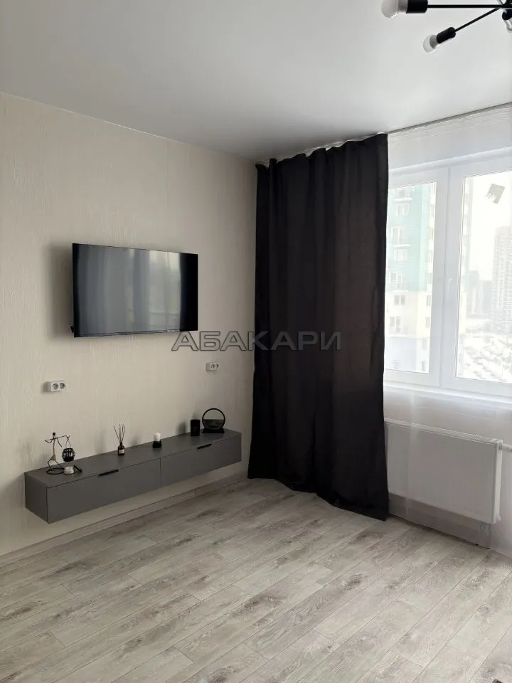 студия улица Петра Подзолкова, 20  за 33000 руб/мес фото 2