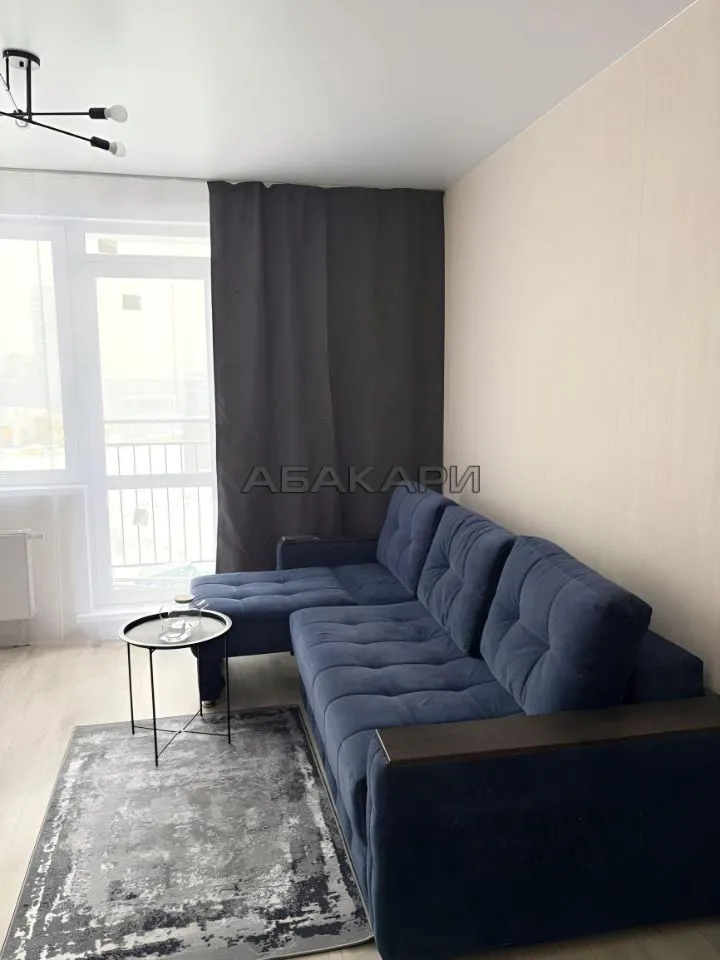 студия улица Петра Подзолкова, 20  за 33000 руб/мес фото 1