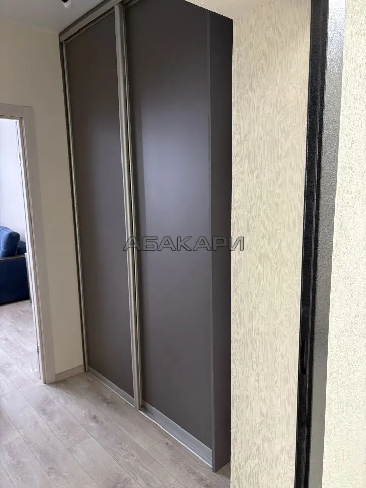 студия улица Петра Подзолкова, 20  за 33000 руб/мес фото 5