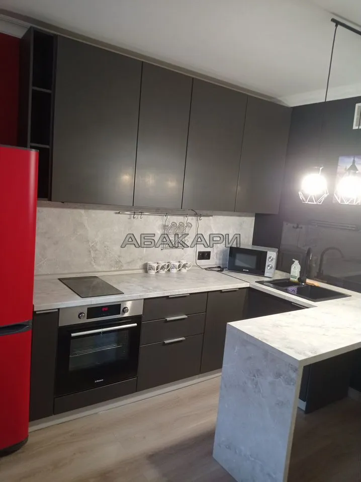 1-комнатная Дудинская улица, 2В  за 40000 руб/мес фото 1