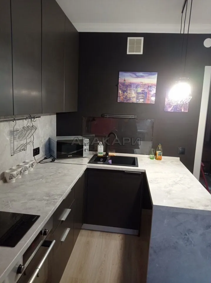 1-комнатная Дудинская улица, 2В  за 40000 руб/мес фото 3