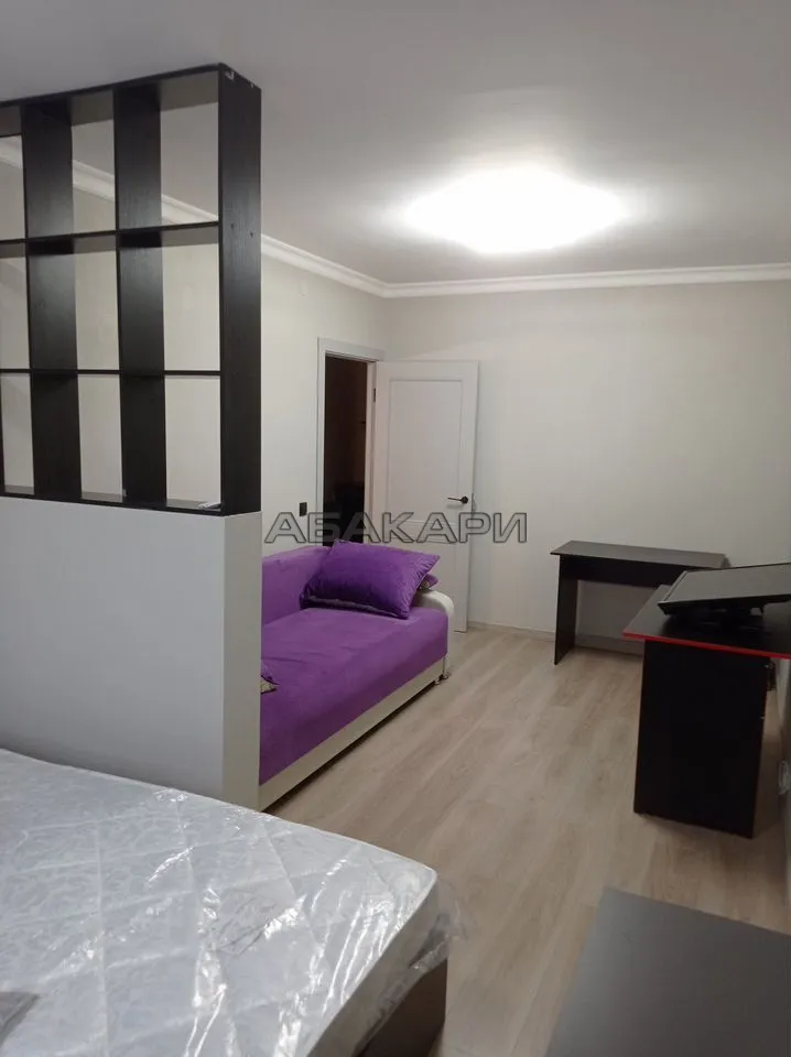 1-комнатная Дудинская улица, 2В  за 40000 руб/мес фото 5