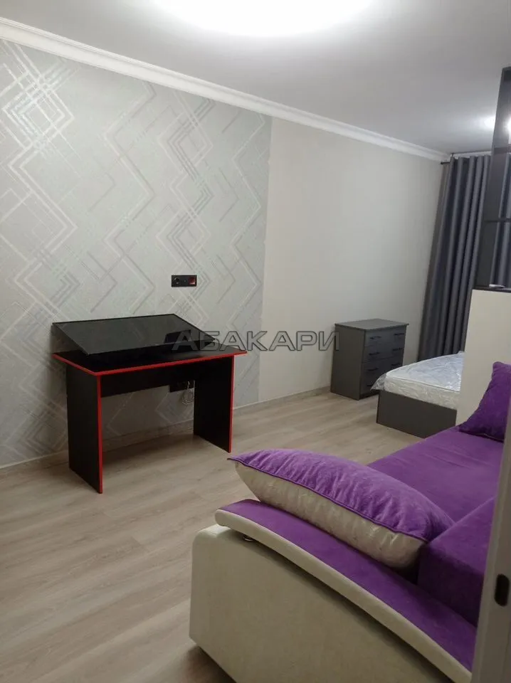 1-комнатная Дудинская улица, 2В  за 40000 руб/мес фото 6