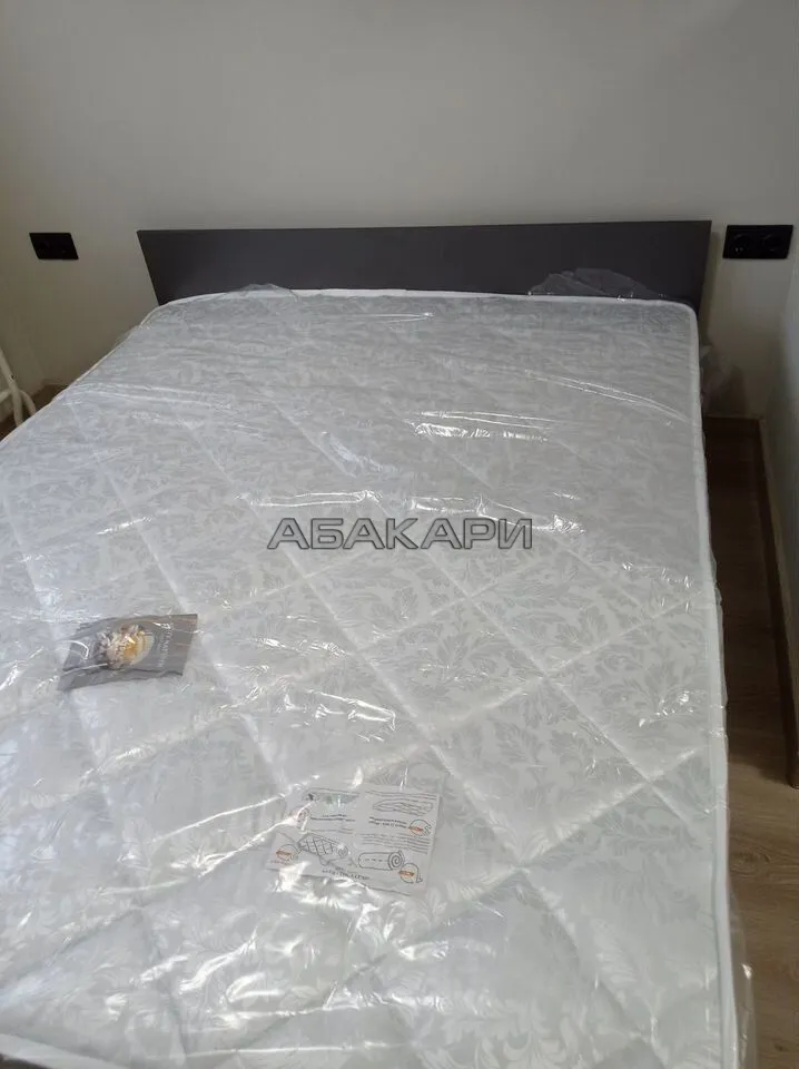 1-комнатная Дудинская улица, 2В  за 40000 руб/мес фото 8