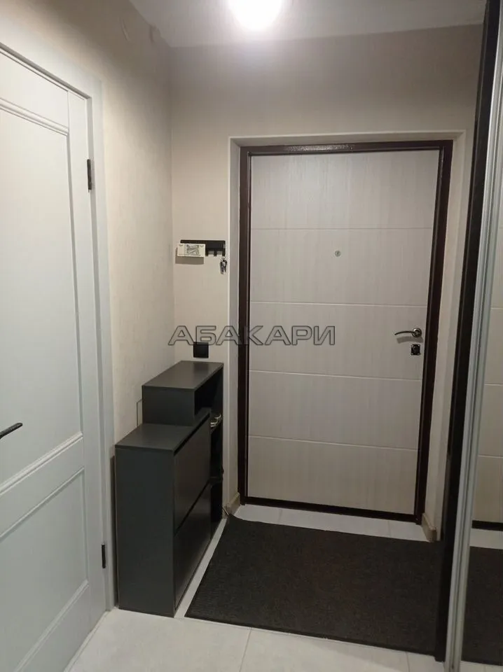 1-комнатная Дудинская улица, 2В  за 40000 руб/мес фото 9