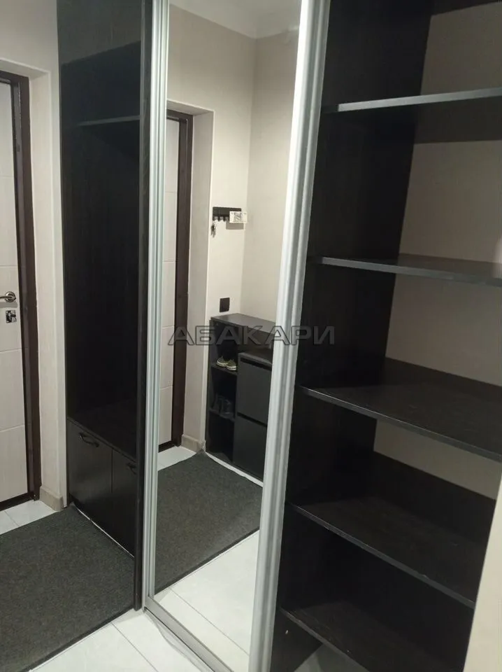 1-комнатная Дудинская улица, 2В  за 40000 руб/мес фото 10