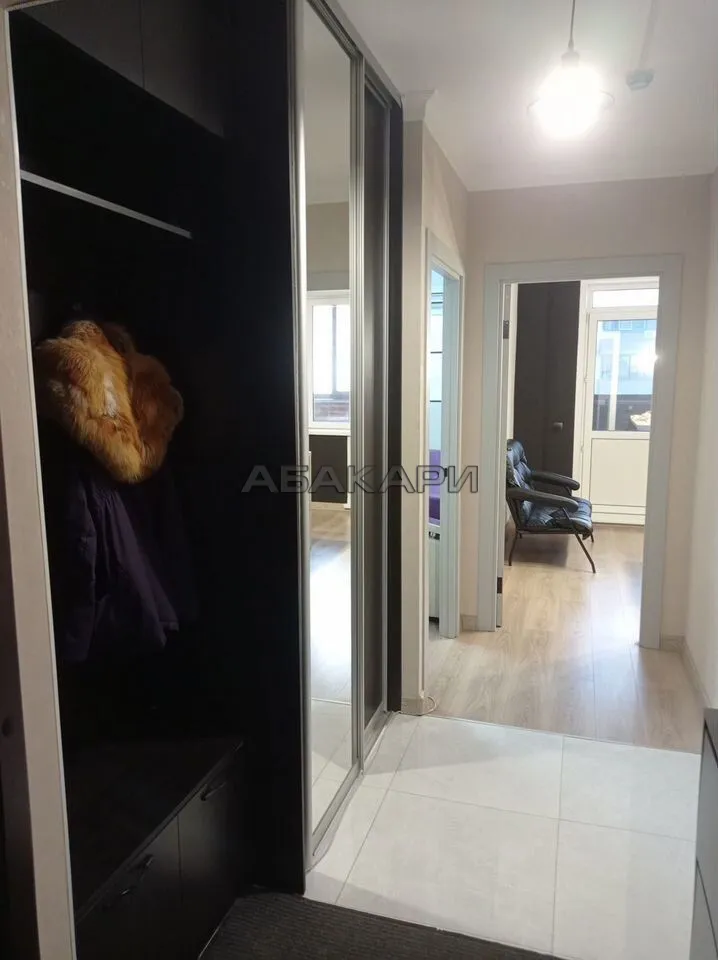 1-комнатная Дудинская улица, 2В  за 40000 руб/мес фото 11