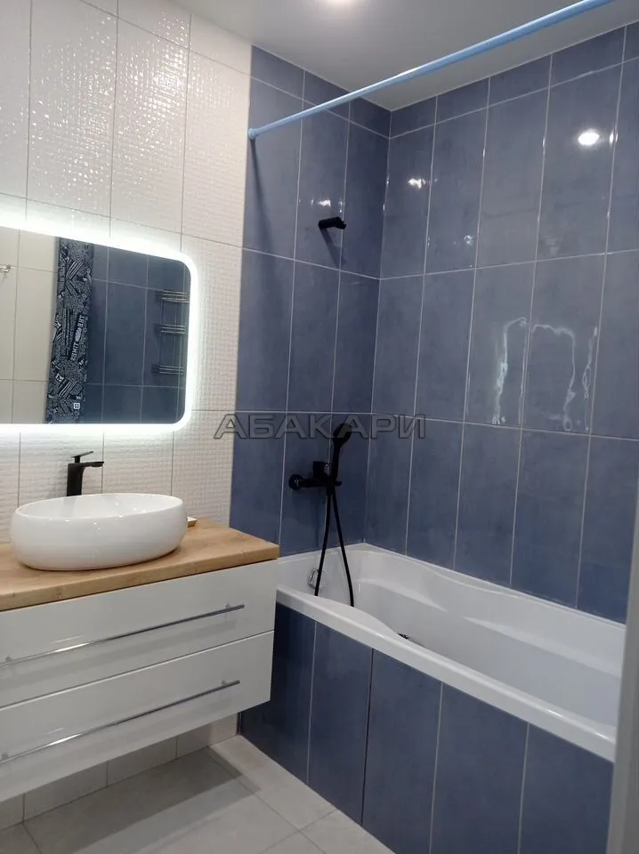 1-комнатная Дудинская улица, 2В  за 40000 руб/мес фото 12