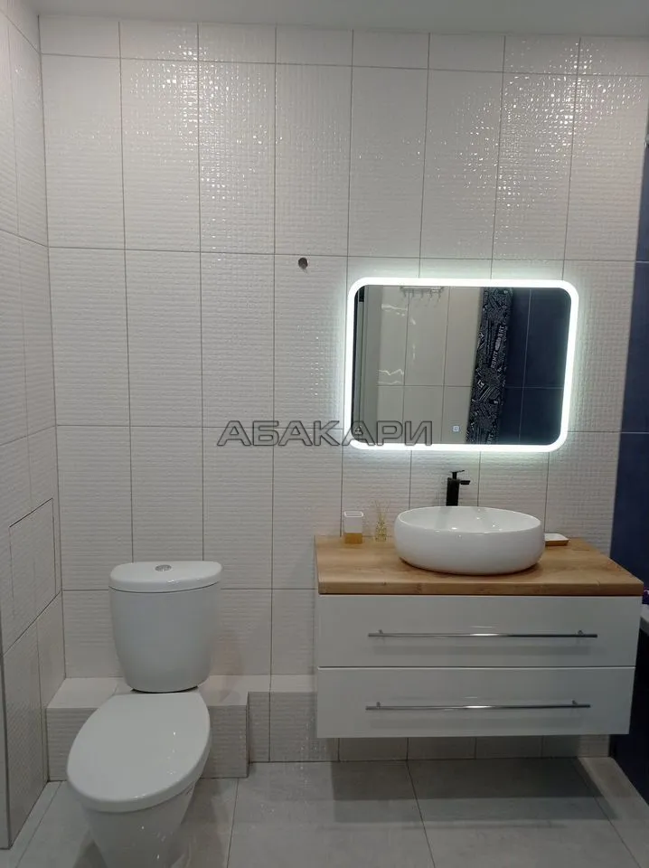 1-комнатная Дудинская улица, 2В  за 40000 руб/мес фото 13