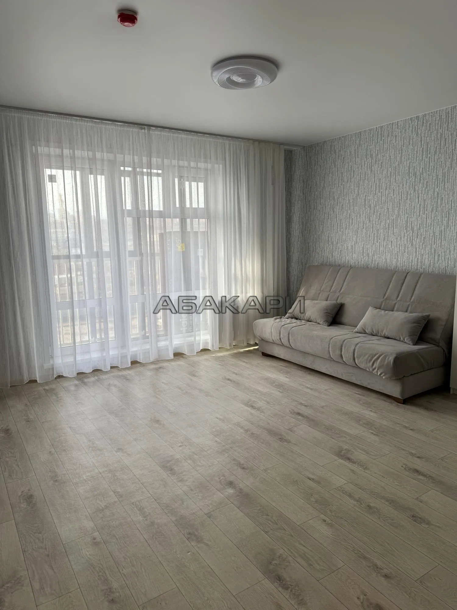 студия Судостроительная улица, 31И  за 26000 руб/мес фото 1