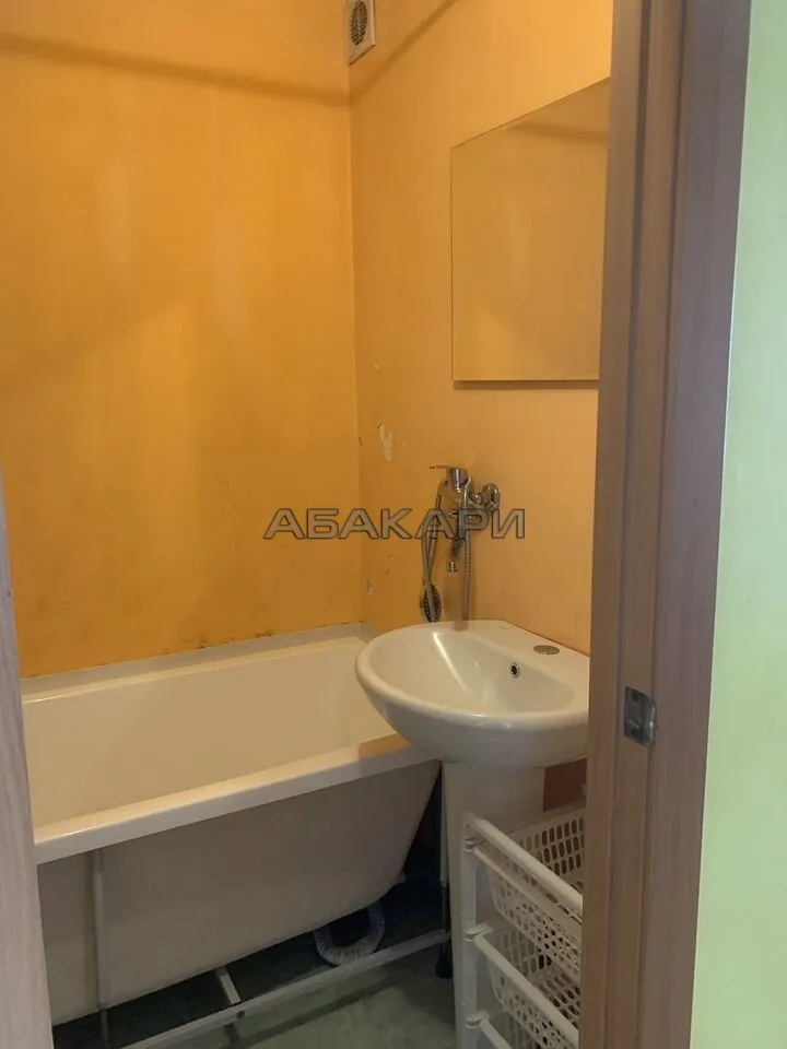 1-комнатная Светлогорская улица, 27  за 30000 руб/мес фото 15