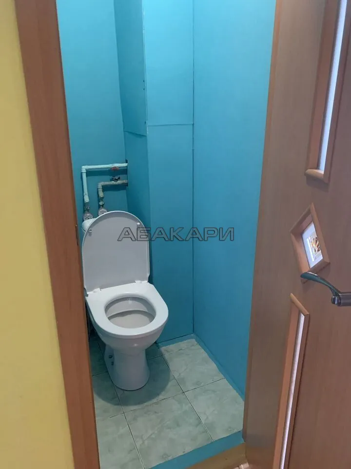 1-комнатная Светлогорская улица, 27  за 30000 руб/мес фото 16