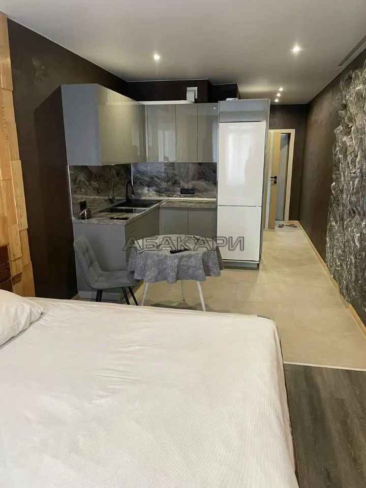 студия улица Партизана Железняка, 38  за 40000 руб/мес фото 3